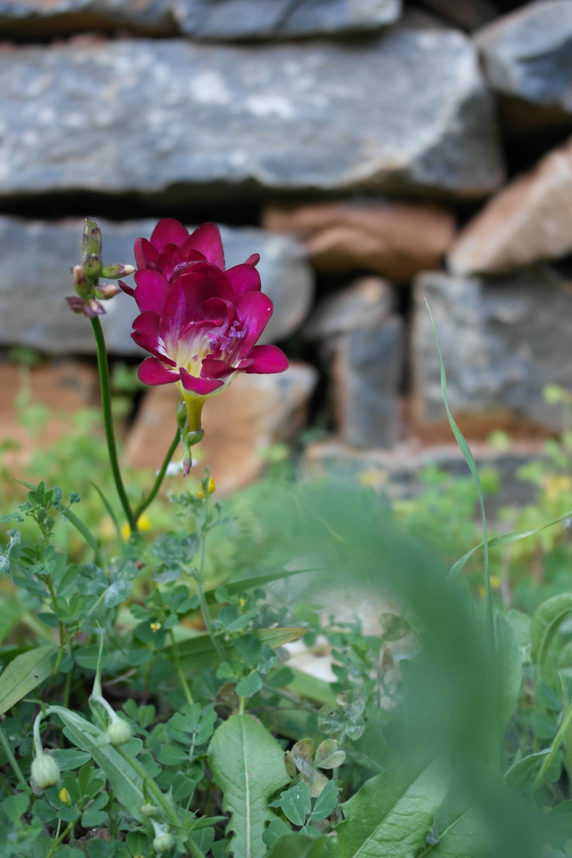 Villa Ianthos location image 11